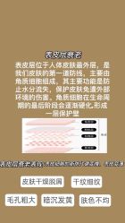 -美肤盾祛痘·问题肌头疗管理中心