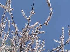 -玲珑塔公园