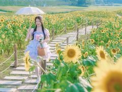 -苏州湾体育公园