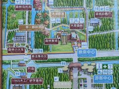 -黄海国家森林公园