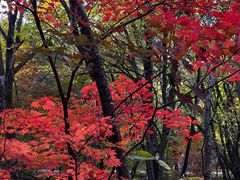-本溪老边沟风景区