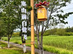 -长田漾湿地公园