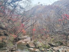 -五女峰国家森林公园