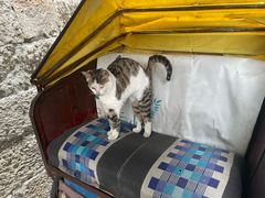 -卞嵊记老味道(嵊州总店)