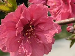 -国家植物园