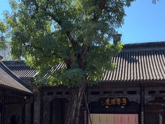 -天津戏剧博物馆