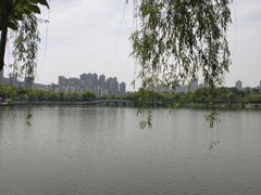 -武汉动物园