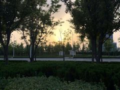 -北龙湖湿地公园