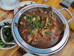 -全乐鱼馆·淳牌有机鱼直营店