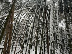 -湖州龙王山景区