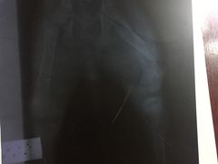 -辛巴宠物医疗中心·骨科·内分泌专科·心肾专科(亭林公园店)