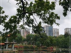 -深圳龙潭公园