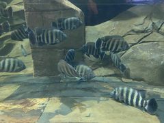 -梦幻海洋王国(吾悦广场张家港店)