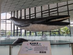 -中国（海南）南海博物馆