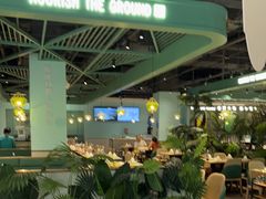 -春润大地海南椰子鸡(沙井京基百纳广场店)