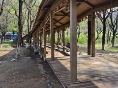 -高尔山公园