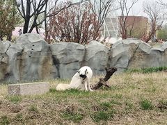 -祥源·阜阳生态乐园