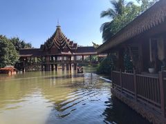 -西双版纳原始森林公园