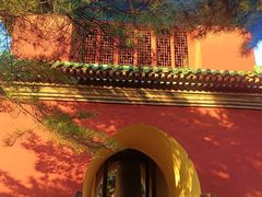 -洪记白水羊头(天坛店)