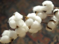 -淮国旧H22·中古店