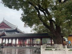 -上海东林寺(金山区)