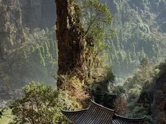 -刘伯温故里景区百丈漈