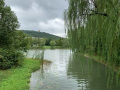 -上海佘山世茂艾美酒店