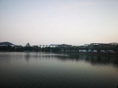 -羊山湖公园
