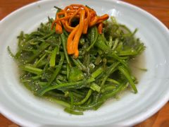 清炒水性杨花-老滇山寨•云南特色菜•地方菜•民族风情歌舞表演(金碧店)