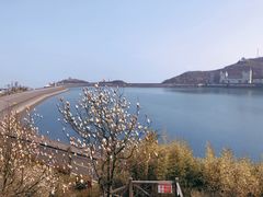 -江南天池