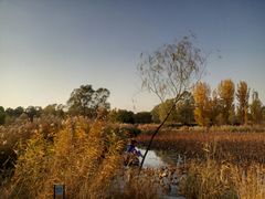 -奥林匹克森林公园南门-停车场