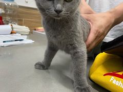 -爱侣宠医·鹦鹉专科·小型哺乳类·异宠专科(灵石路店)