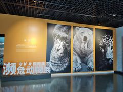 -中国湿地博物馆