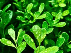 -中关村生命科学园