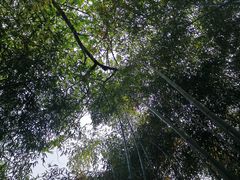 -柯老二特色炒鸡店(竹泉村店)