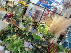 -Libra Flora花店(骆岗中央公园店)