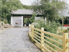 -百里山水画廊乌龙峡谷