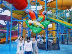 -苏州乐园森林水世界