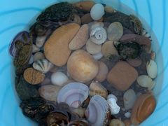 -那香海钻石沙滩浴场