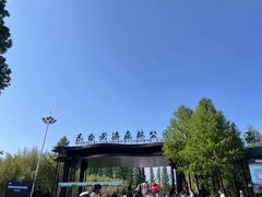 -黄海国家森林公园