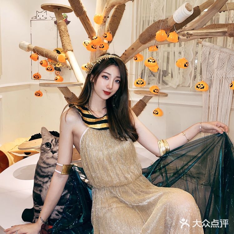 帕贝斯特猫花园|埃及艳后的万圣夜🎃🎃