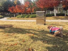 -杭州城北体育公园