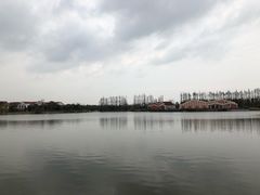 -上海长兴岛郊野公园