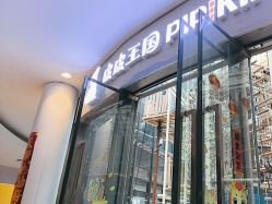 -PIPIKINGDOM皮皮王国欢乐号(欢乐海岸购物中心店)
