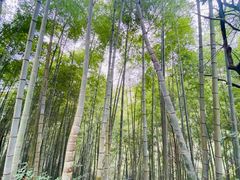 -丹山赤水风景名胜区
