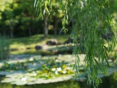 -宁波九龙湖开元度假村