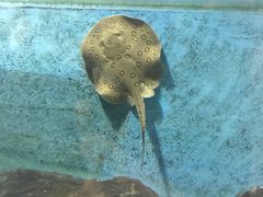 -苏州海洋馆