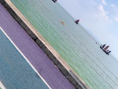 -贡湖湾湿地公园