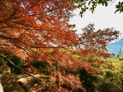 -莫干山风景区