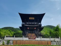 -大唐贡茶院